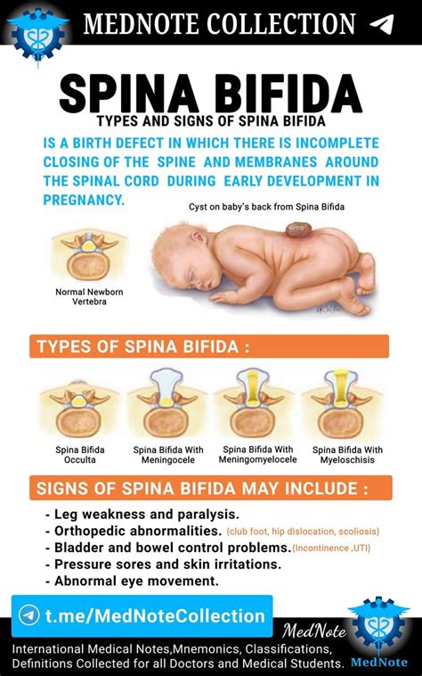 medical term spina bifida